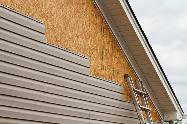 Professional Siding Inspection technician working in Mound, MN